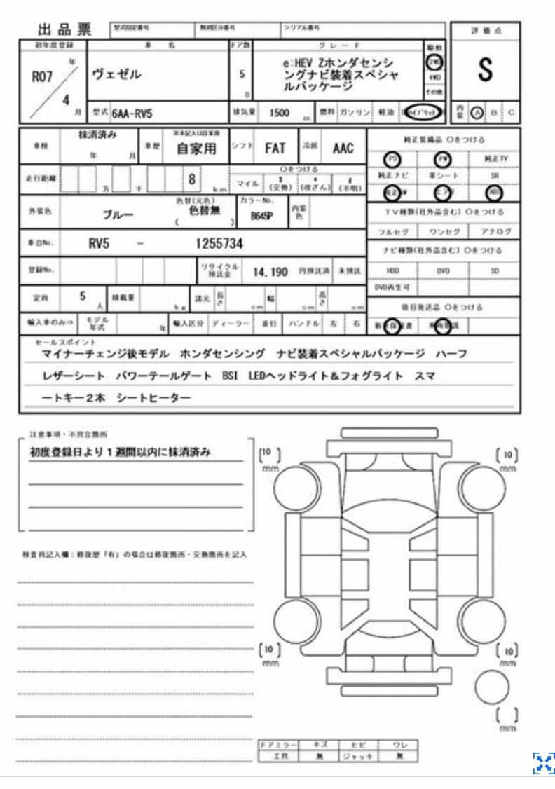 Option Certificate